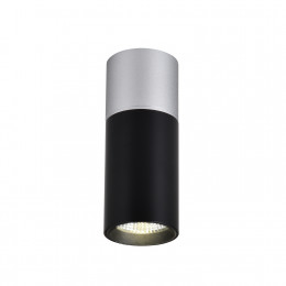 3072-1C, потолочный светильник, D50xH139, LEDx5W, 350LM, 4000K, IP20, included Favourite