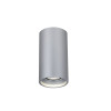 2797-1U, потолочный светильник, D70xH130, 1xLEDx7W, 560LM, 4000K, included Favourite