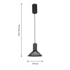 4623-1P, подвес, D180xH350/1500, 1xLEDx6W, 660LM, 3000K, included Favourite