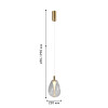 4257-2P, подвес, D220xH490/1990, LEDx4.3W, 520LM, 4000K, included Favourite