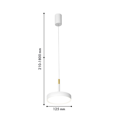 4505-1P, подвес, D125xH210/1800, LEDx10W, 650LM, 4000K, CRI>90, included, dimmer Favourite