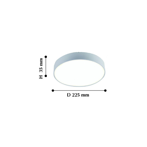 2065-30C, потолочный светильник, D225xH40, LEDx30W, AC:100-240V, IP21, 2550LM, 4000K, included Favourite