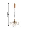 4258-1P, подвес, D300xH315/1815, LEDx4.8W, 530LM, 4000K, included Favourite