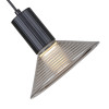 4622-1P, подвес, D180xH400/1480, 1xLEDx6W, 480LM, 3000K, included Favourite