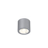 2808-1C, потолочный светильник, D65xH60, 1xLEDx7W, 560LM, 4000K, included Favourite