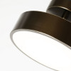 3060-2P, потолочный светильник, D200xH125, LEDx18W, 1440LM, 4000K, included Favourite