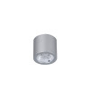 2808-1C, потолочный светильник, D65xH60, 1xLEDx7W, 560LM, 4000K, included Favourite
