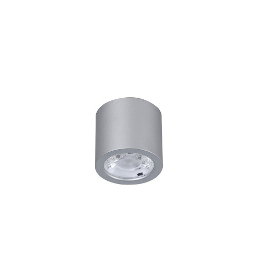 2808-1C, потолочный светильник, D65xH60, 1xLEDx7W, 560LM, 4000K, included Favourite