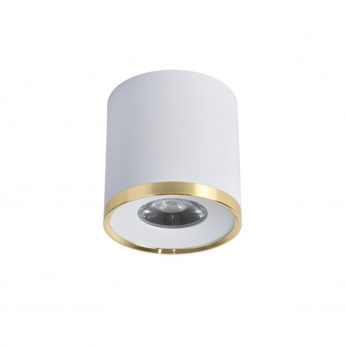 3085-2C, потолочный светильник, D88xH91, LEDx10W, 850LM, 4000K, IP20, included Favourite
