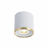 3085-2C, потолочный светильник, D88xH91, LEDx10W, 850LM, 4000K, IP20, included Favourite