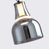 4243-1P, подвес, D260xH500/1800, LEDx6W, 639LM, 4000K, included Favourite