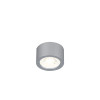 2808-1U, потолочный светильник, D65xH40, 1xLEDx7W, 560LM, 4000K, included Favourite