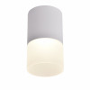 3069-1C, потолочный светильник, D64xH110, LEDx5W, 400LM, 4000K, IP20, included Favourite