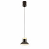4516-1P, подвес, D135xH175/1600, LEDx10W, 800LM, 4000K, included Favourite