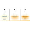 08212,19A(dim to warm) Подвес Тор черный d40 Kink Light