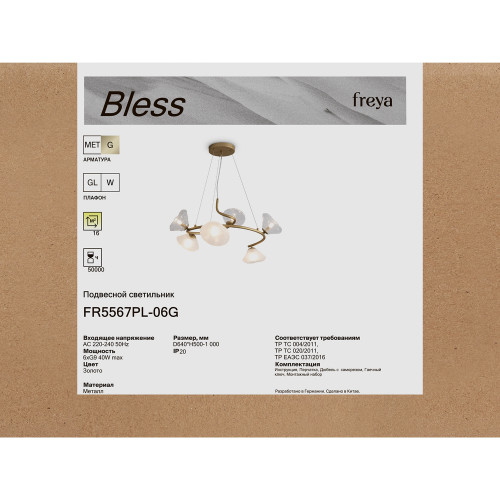 Люстра Freya FR5567PL-06G