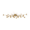 Потолочный светильник Freya FR5242CL-24BS