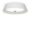Потолочный светильник Freya FR10013CL-L24W
