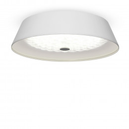 Потолочный светильник Freya FR10013CL-L24W