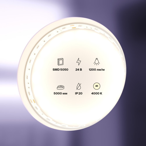 Подвесной светильник 10169 Zoe TK Lighting