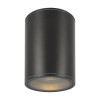 Уличный потолочный светильник Outdoor O306CL-L7GF