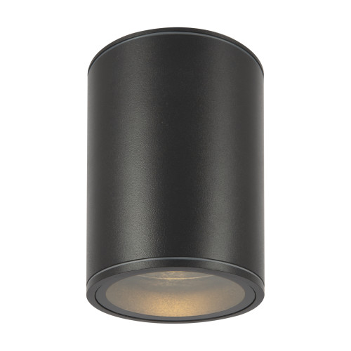 Уличный потолочный светильник Outdoor O306CL-L7GF
