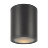 Уличный потолочный светильник Outdoor O306CL-L12GF