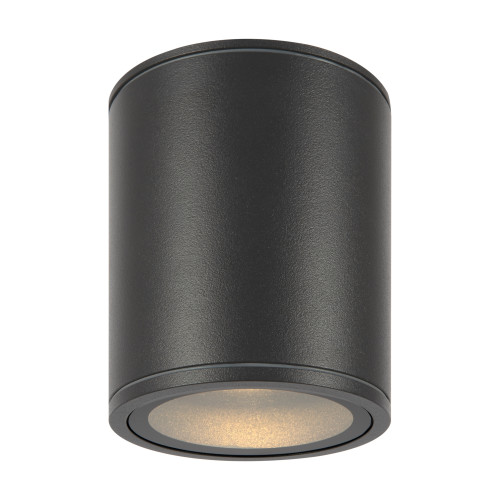 Уличный потолочный светильник Outdoor O306CL-L12GF