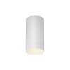 Уличный потолочный светильник Outdoor O500CL-L5W3K