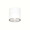 Уличный потолочный светильник Outdoor O310CL-L12W3K