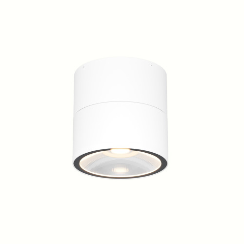 Уличный потолочный светильник Outdoor O310CL-L12W3K