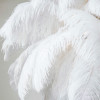 Подвесная люстра MODESTYLE MS.960.9 BS