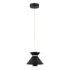 Подвесной светильник LED4U L8758-1 BK