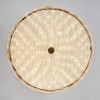 Потолочный светильник LED4U L1117-500 GD