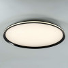 Потолочный cветильник LED4U L3020-600 BK