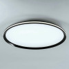 Потолочный cветильник LED4U L3020-600 BK