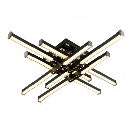 Потолочный светильник MODELIGHT MDL.9376.700CL BK