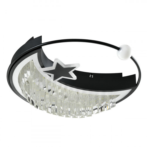 Потолочный светильник LED4U L8024-450 BK
