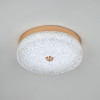 Потолочный светильник LED4U L1116-300 GD