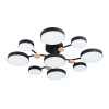 Потолочный светильник LED4U L3201-780 BK