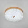 Потолочный светильник LED4U L1117-300 GD