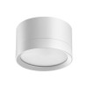 Светильник накладной NOVOTECH LIRIO 371033