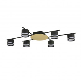 Светильник потолочный LUMION BENUA 8304/6C