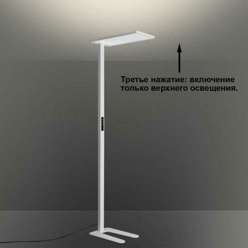 Торшер светодиодный диммируемый полного спектра NOVOTECH STUDI 359545