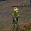 Ландшафтный грунтовый светильник ODEON LIGHT LIANA 7108/15GLA