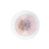 Декоративная подсветка Arte Lamp AJOUR A1259AP-1PB
