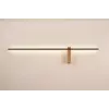 Декоративная подсветка Arte Lamp PHOENIX A2025AP-1PB