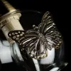 Бра Arte Lamp ALESSANDRA A5004AP-1AB