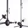 Люстра на штанге Arte Lamp BOLLA A1664SP-12BK