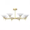 Люстра на штанге Arte Lamp ALESSIA A2076PL-8GO